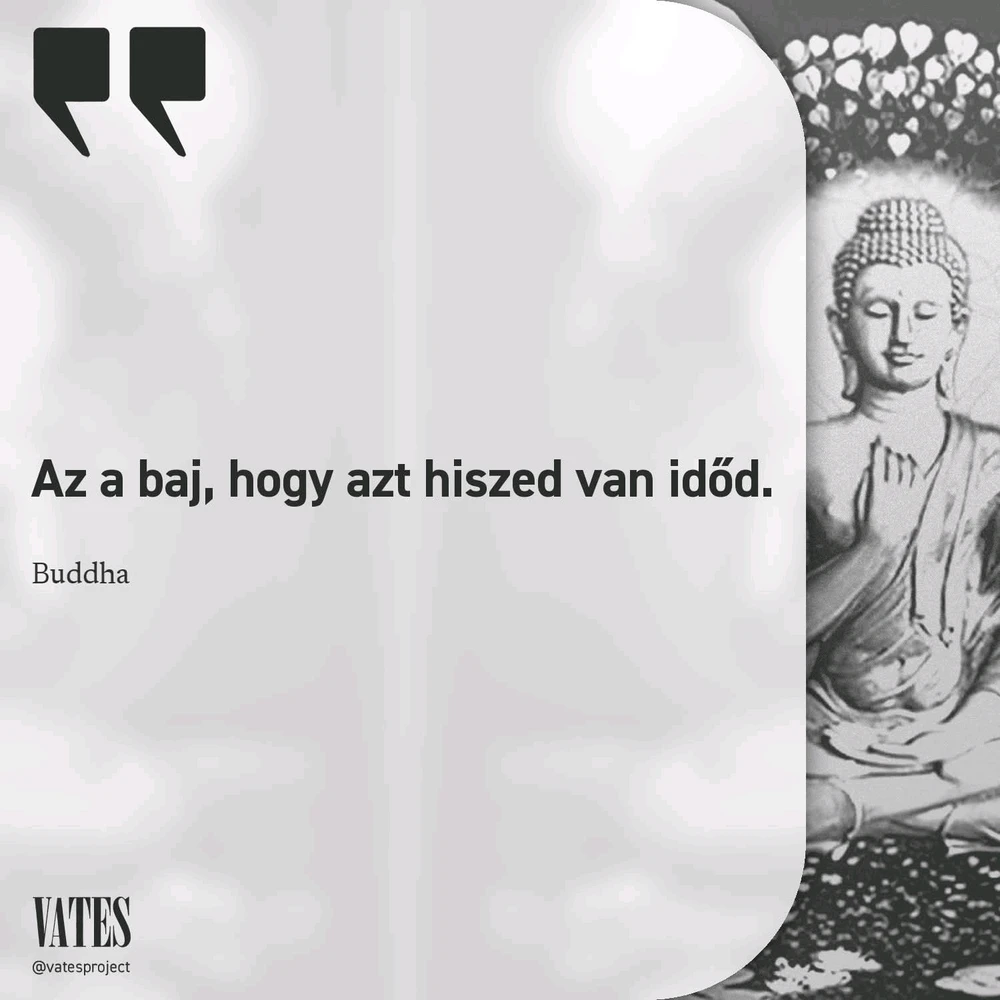 MrSavage által feltöltött GIF