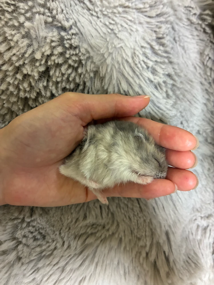 GIF uploaded by Kana