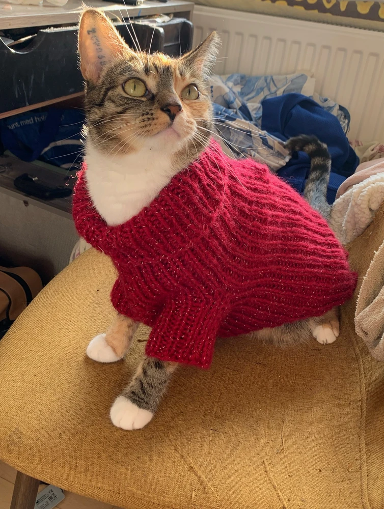 GIF uploaded by Cecilie