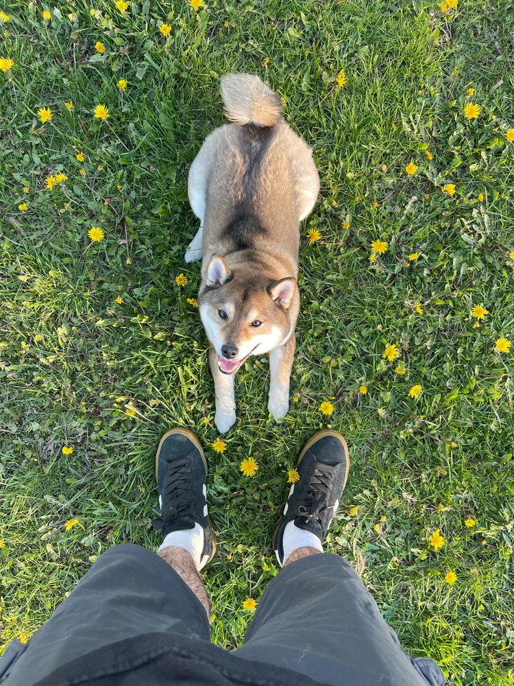 Image uploaded by Sandro