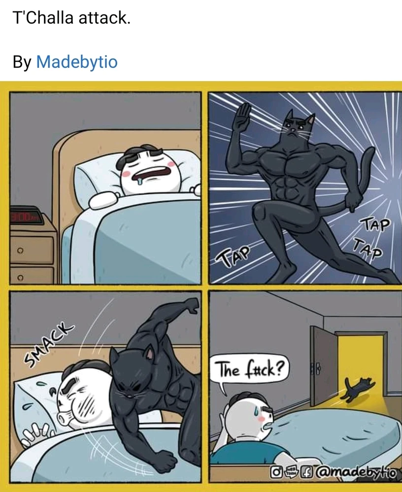 GIF uploaded by Malcolm
