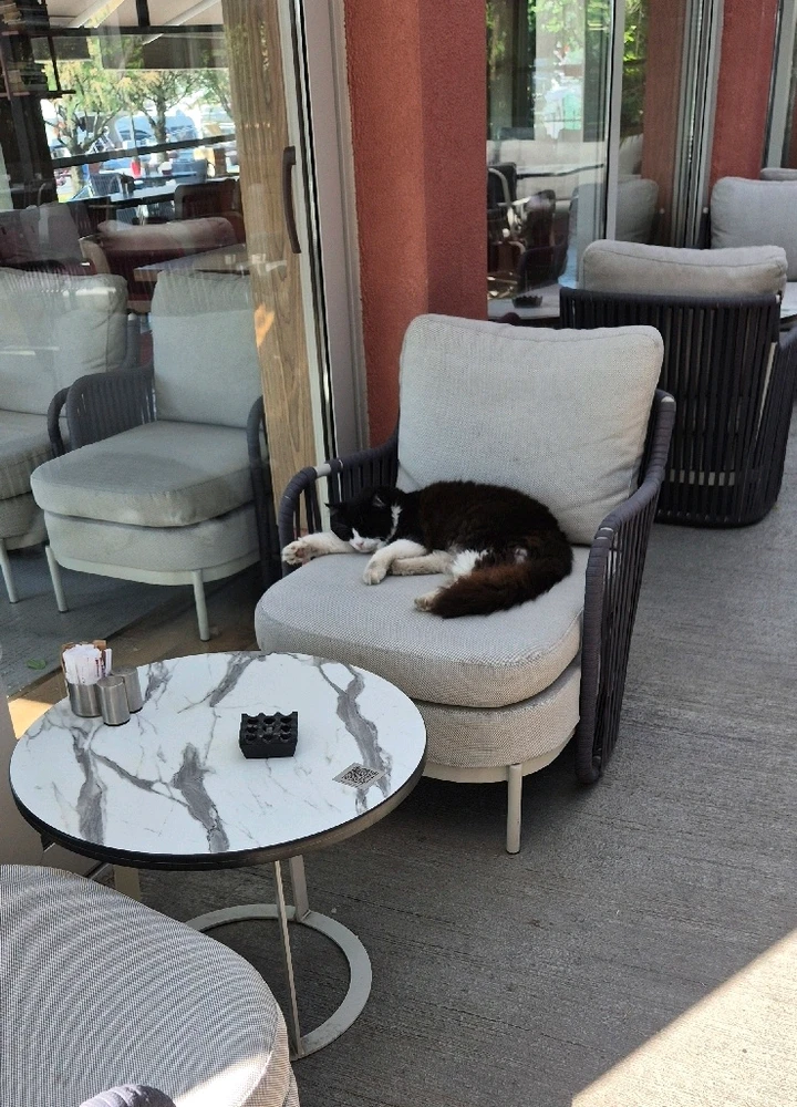 GIF uploaded by ValerieKew