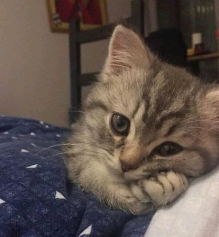 GIF uploaded by Rajesh