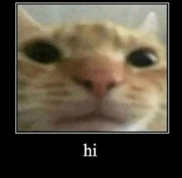 GIF uploaded by Ami