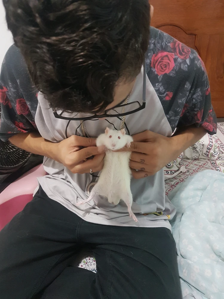 Young Teixeira tarafından yüklenen GIF