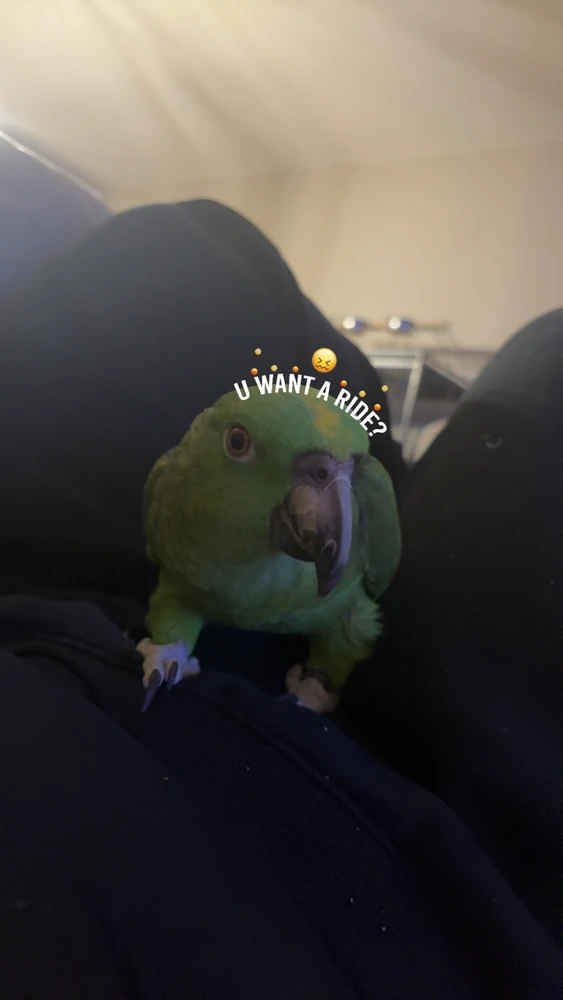 GIF uploaded by Keany