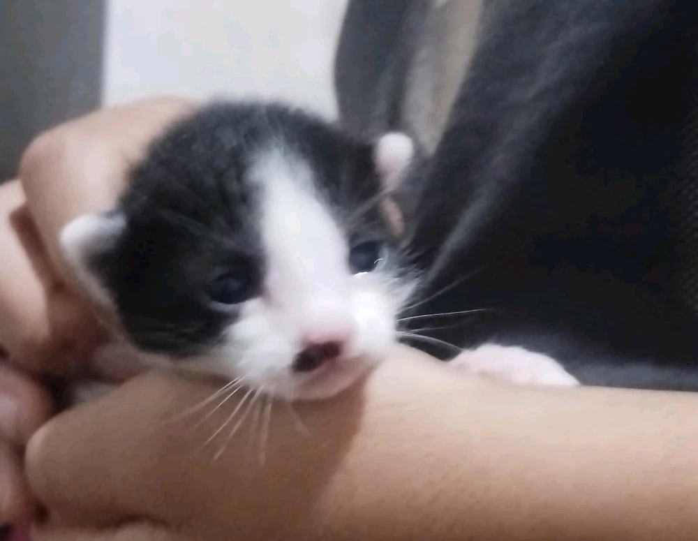 GIF uploaded by John