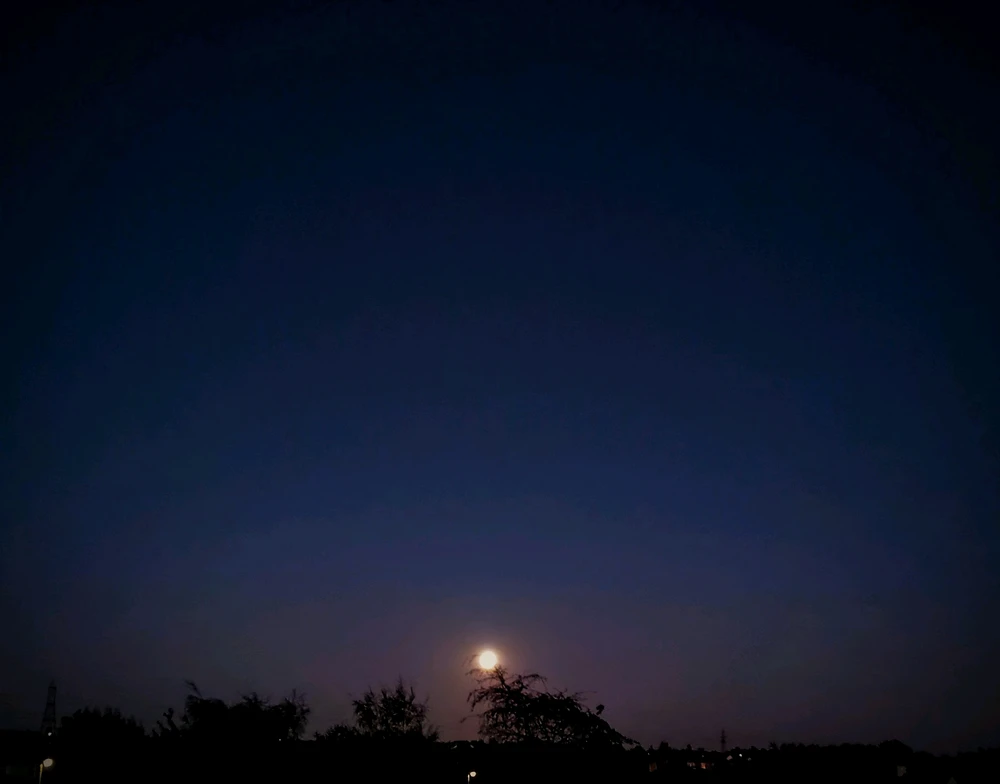 GIF uploaded by Saff