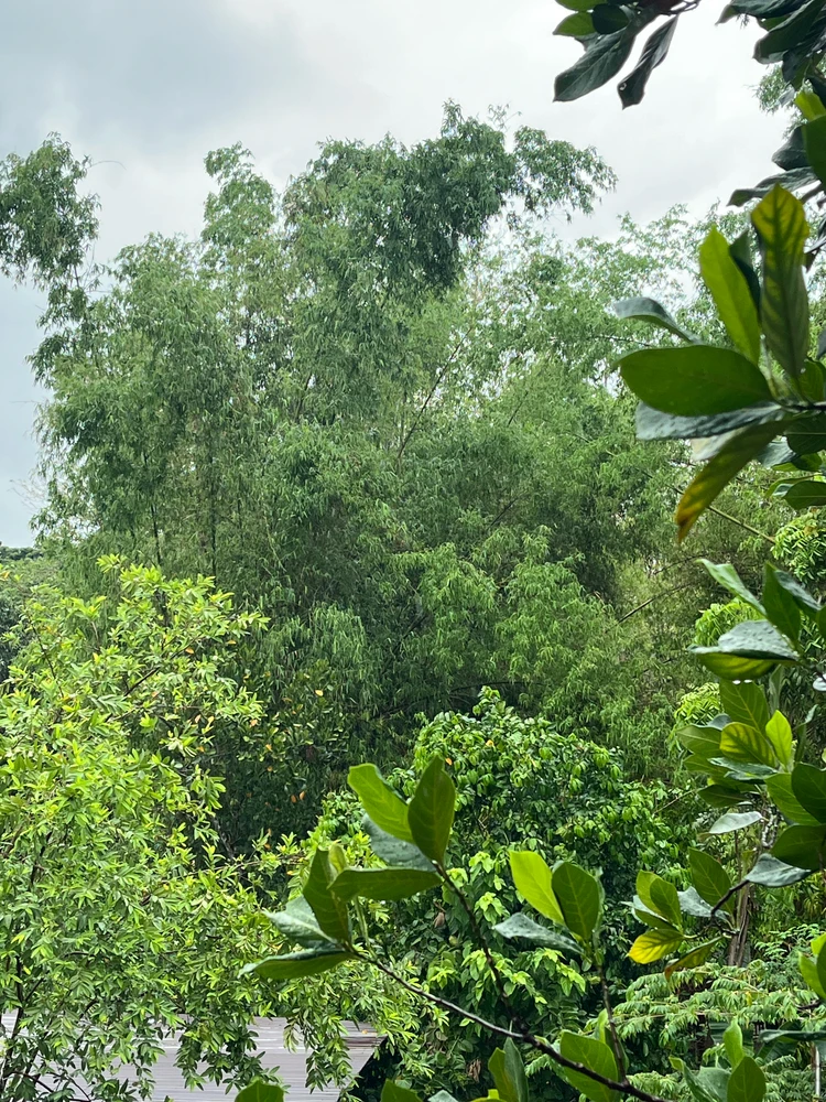GIF uploaded by Nova