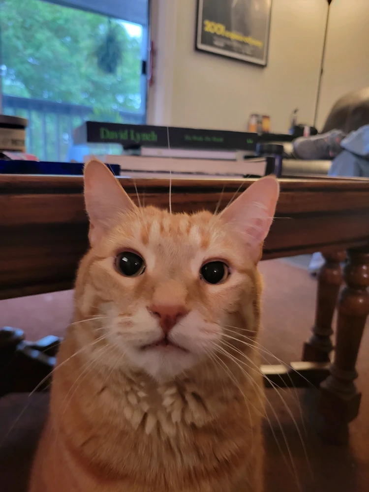 GIF uploaded by Connor