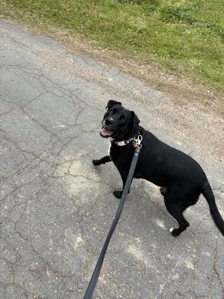 GIF uploaded by Jesse