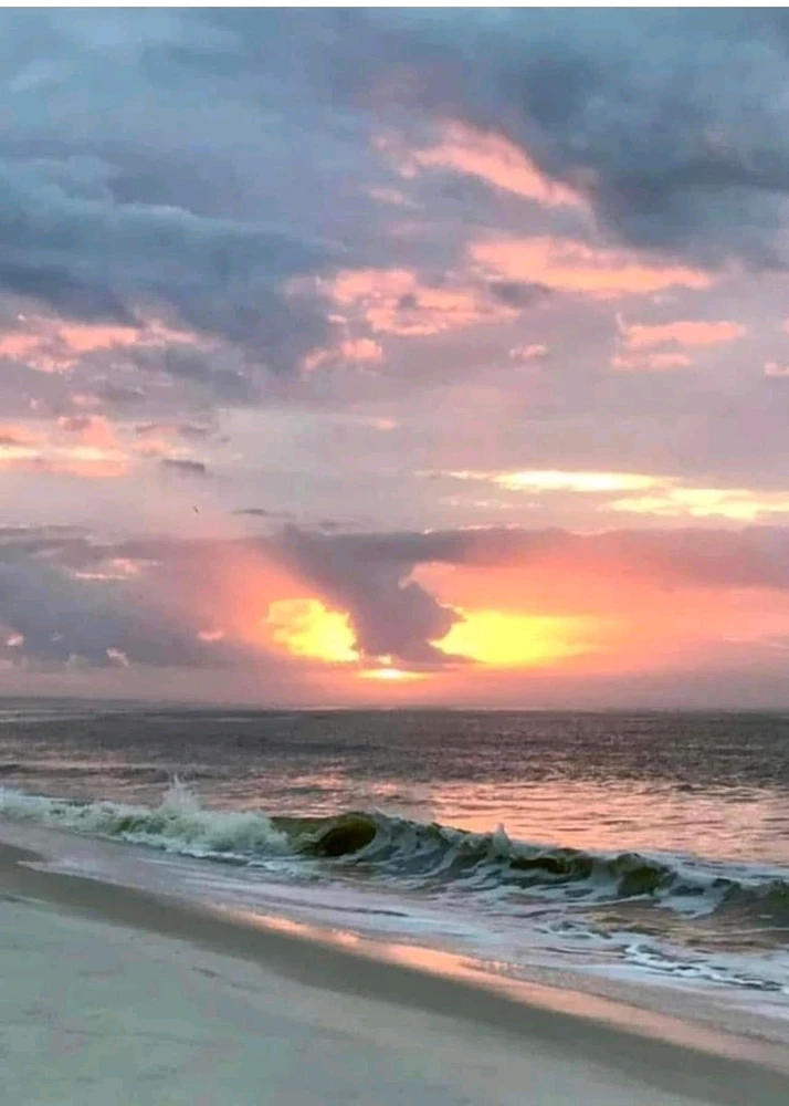 GIF uploaded by David's