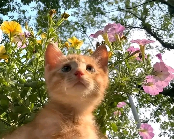 GIF uploaded by Arad