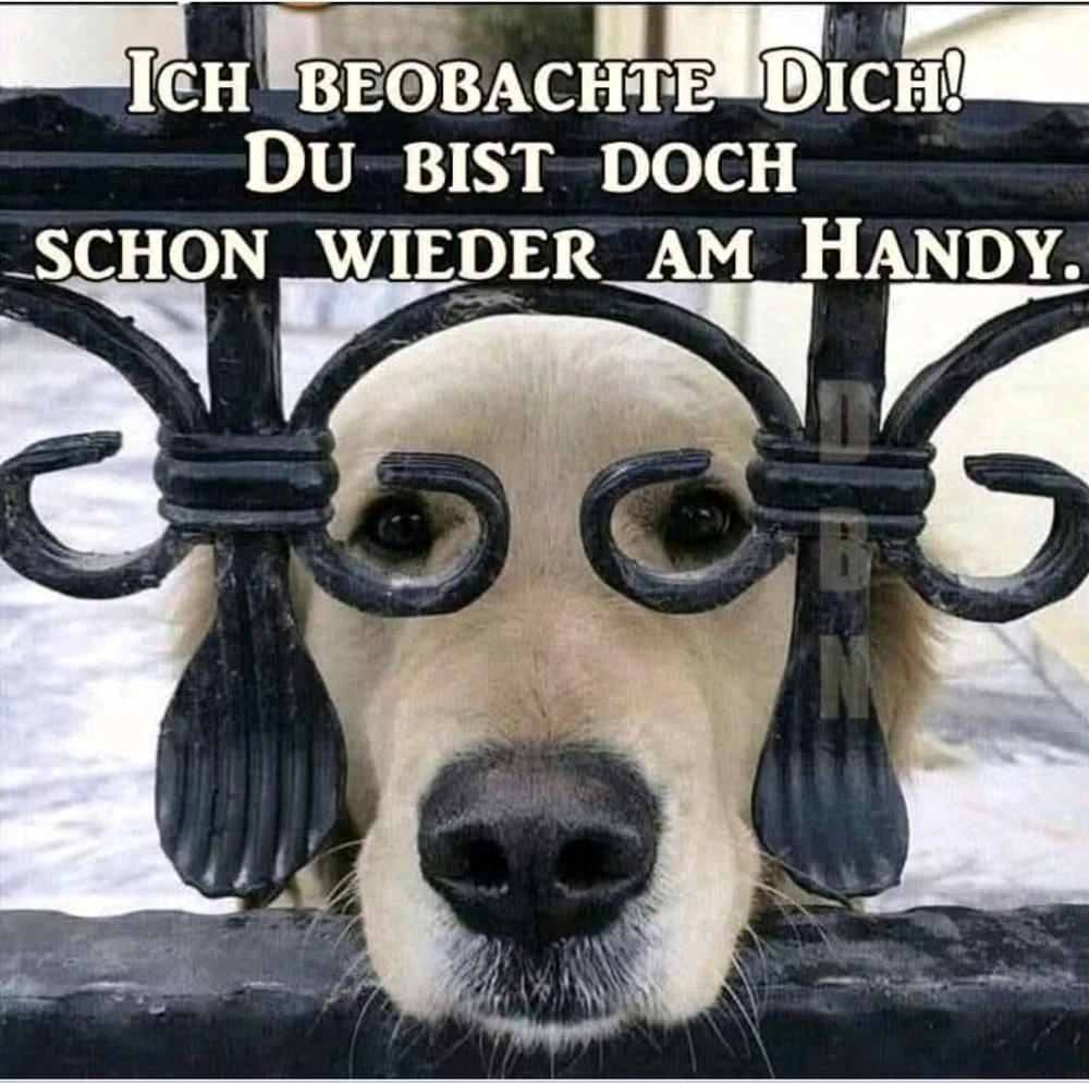 GIF hochgeladen von Sven