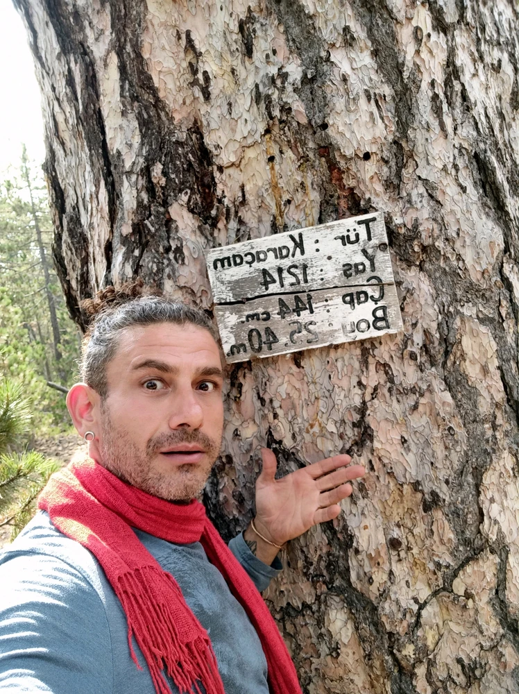 Image uploaded by Murat