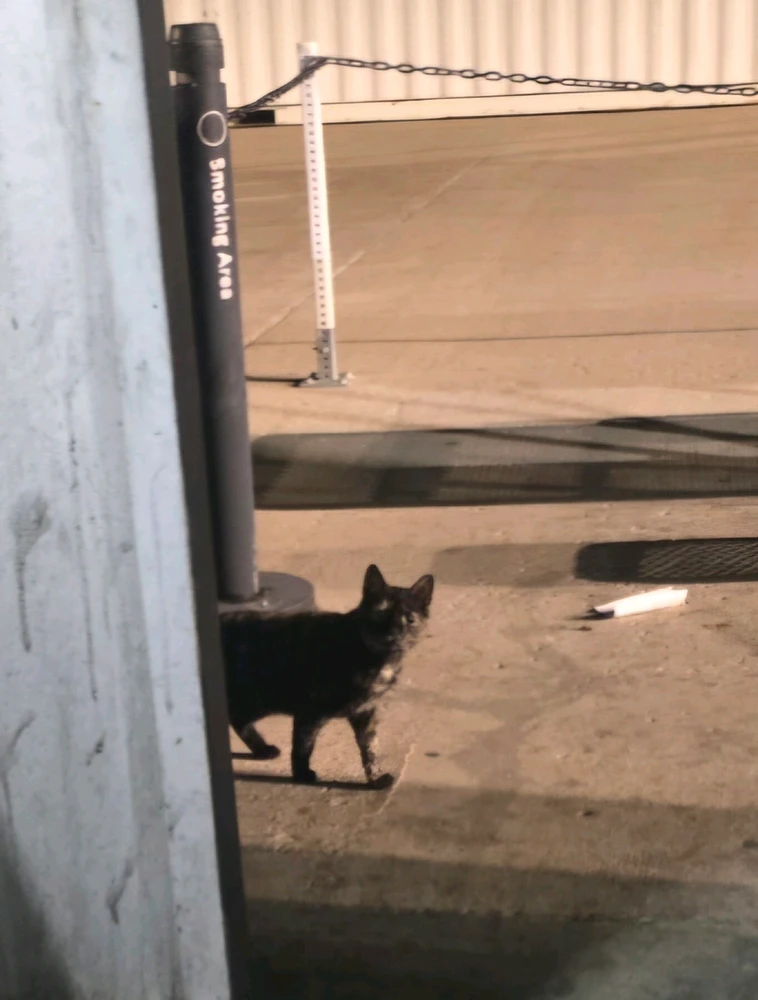 GIF uploaded by JT