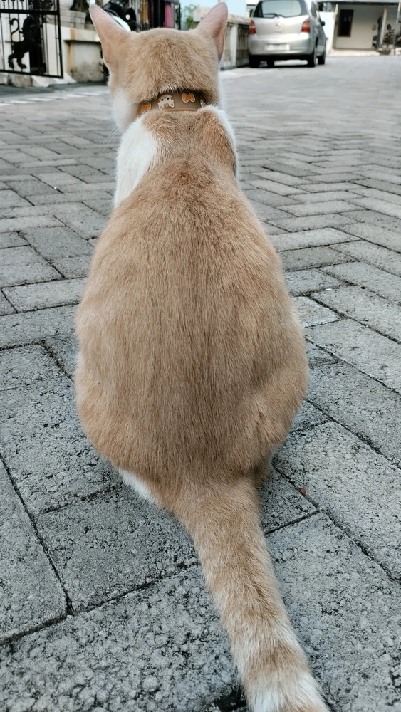 GIF uploaded by Olif