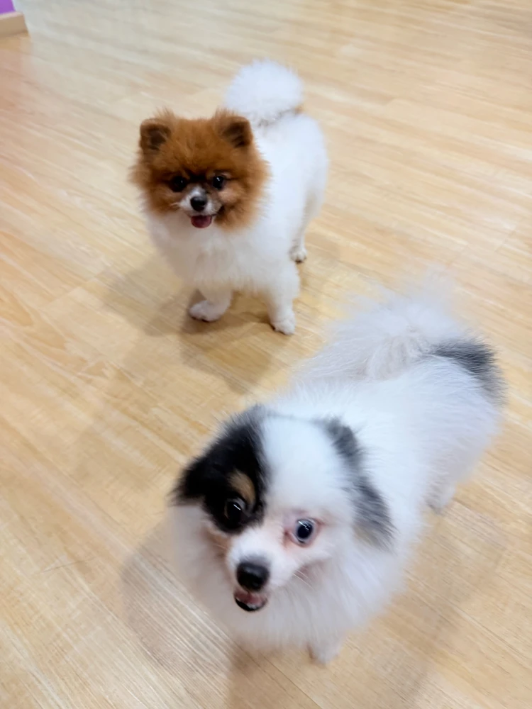 GIF uploaded by Sunni