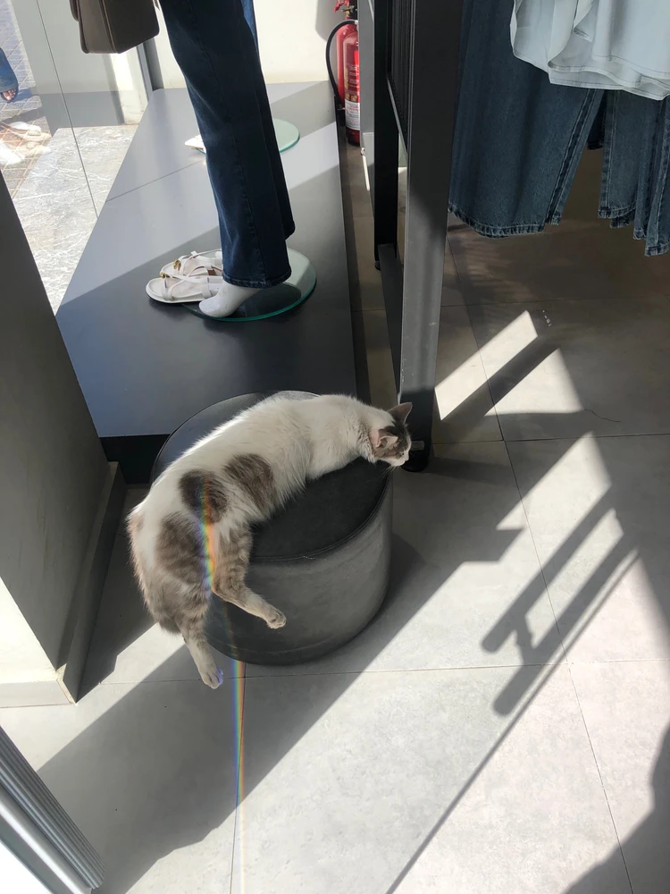 GIF uploaded by SalMa
