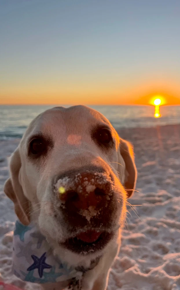GIF uploaded by Cade