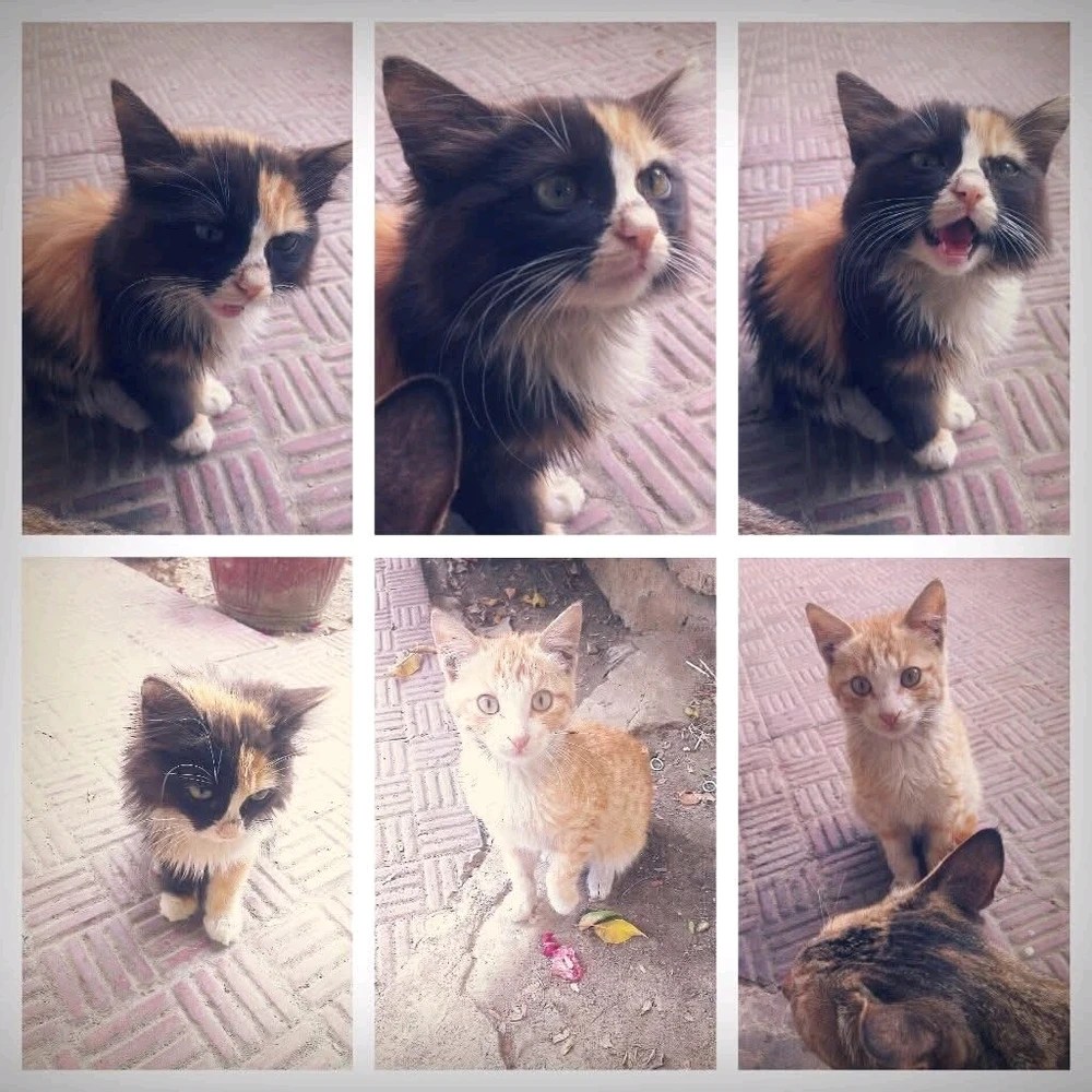 GIF uploaded by GorayaH