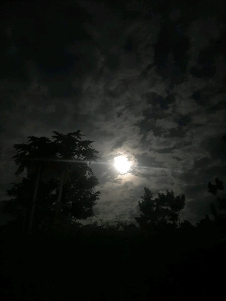 GIF uploaded by Plara