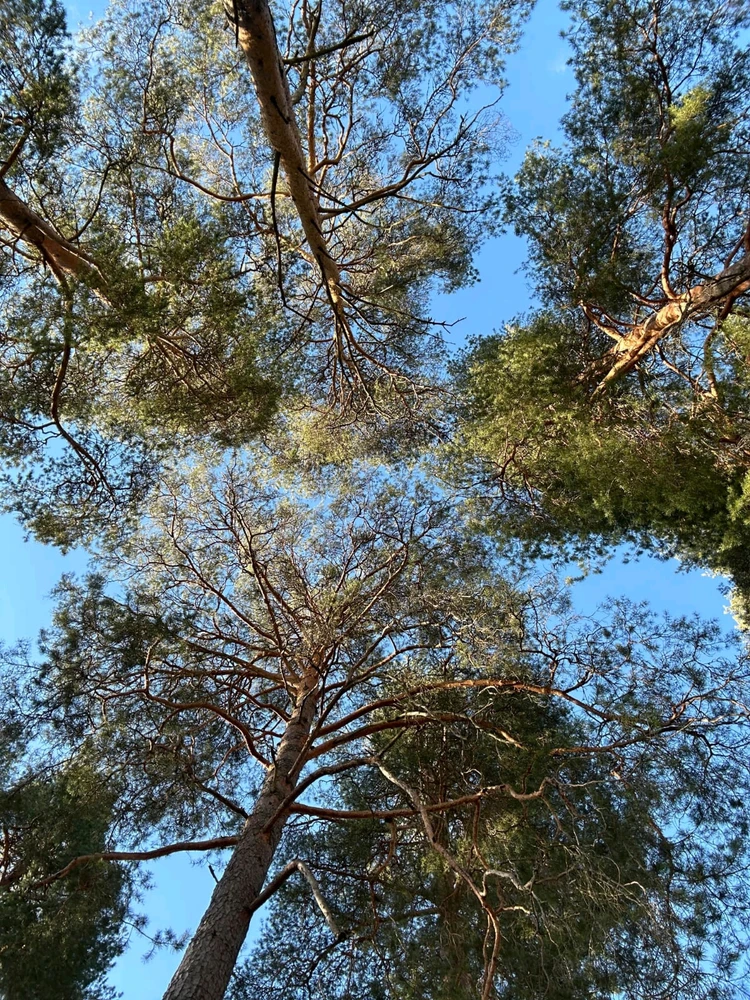 GIF uploaded by Thara