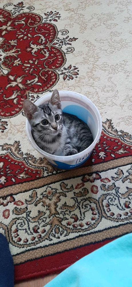 Kaya tarafından yüklenen GIF