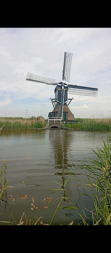 GIF uploaded by Daniel