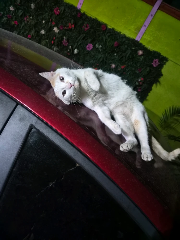 GIF subido por Ely