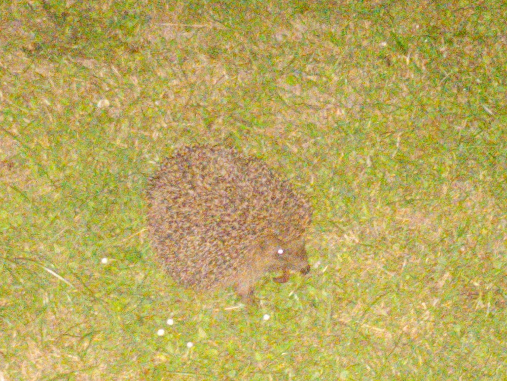 GIF uploaded by Krzysztof
