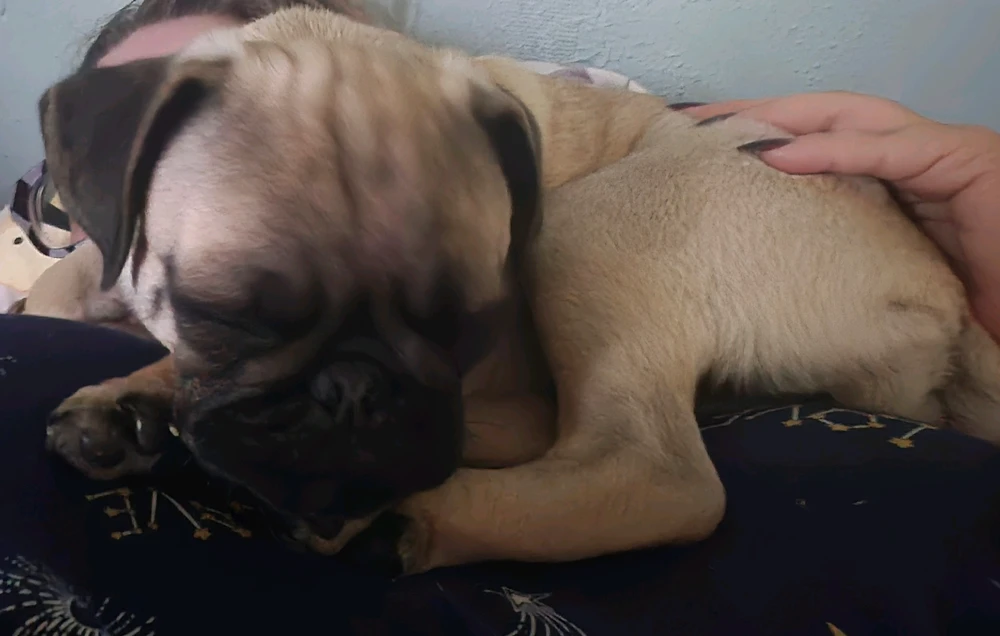 GIF uploaded by Kelly Lee