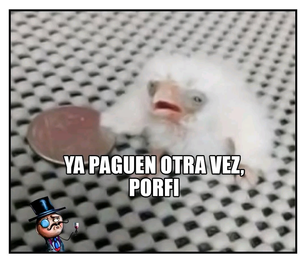 GIF subido por Adrián