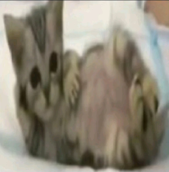 GIF subido por Isaac