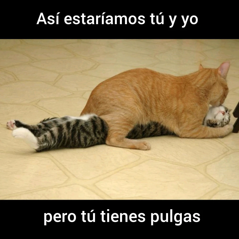 GIF subido por Victor Hugo