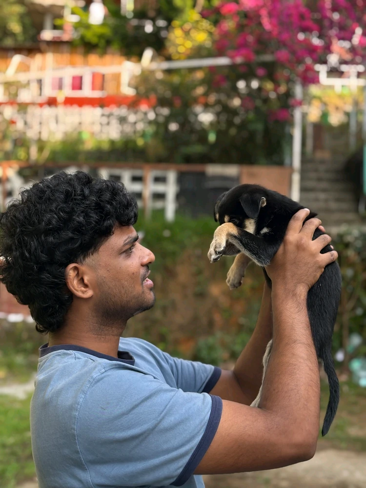 GIF uploaded by Ashvin Raj
