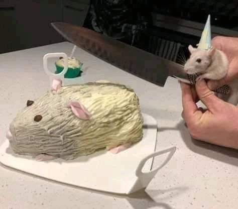 GIF uploaded by ℳ𝒾𝒹𝓃𝒾𝑔𝒽𝓉