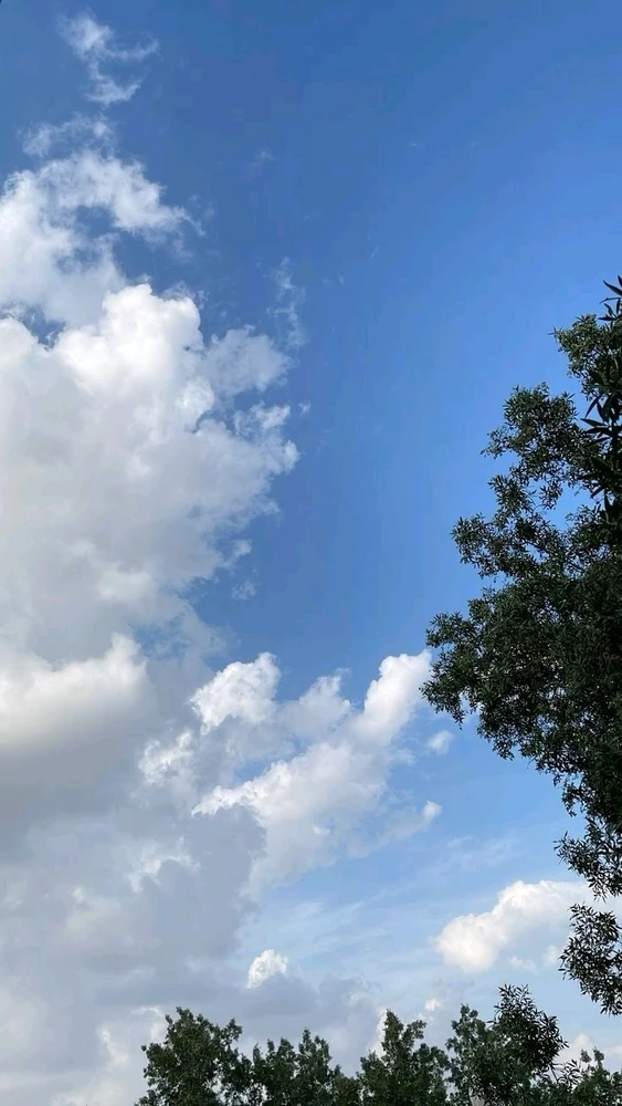GIF uploaded by Arsolen