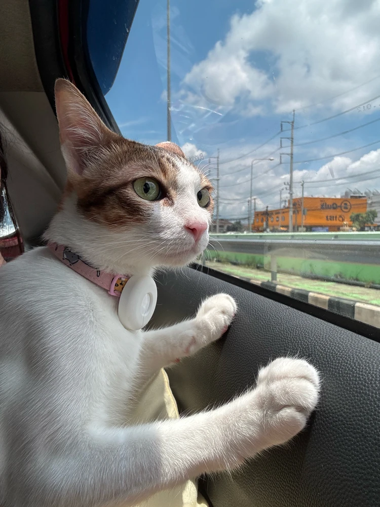 Image uploaded by Pat♡