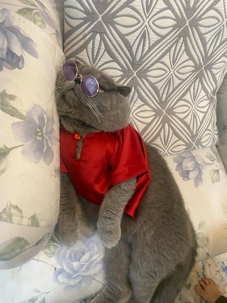 GIF uploaded by Samantha