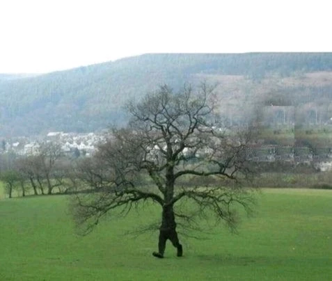 GIF загрузил Сергей