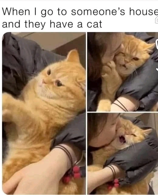 GIF uploaded by GorayaH