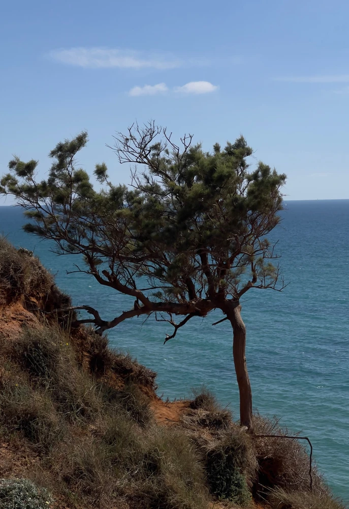 Image uploaded by Roma