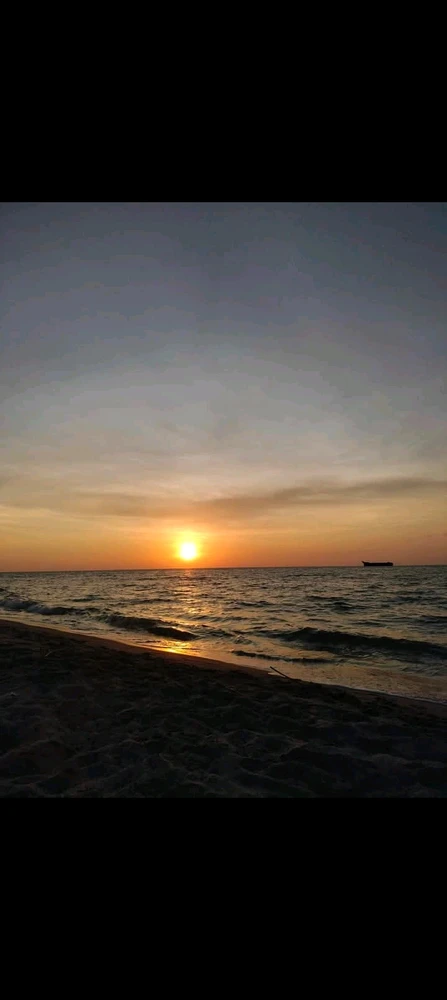 Image uploaded by Scarlett