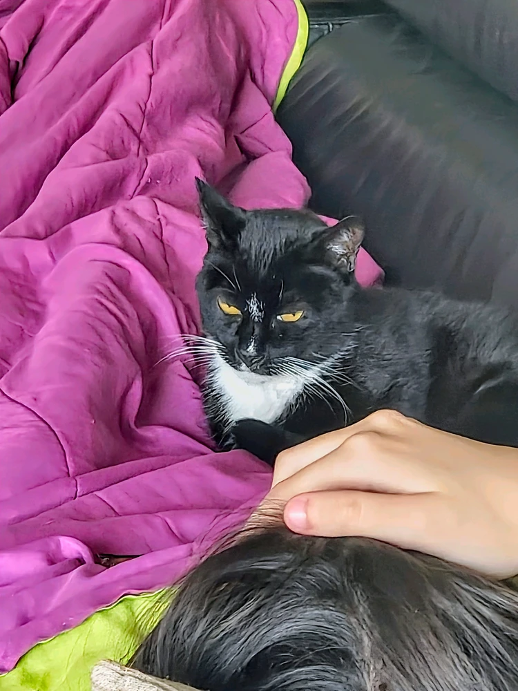GIF uploaded by Emiliano