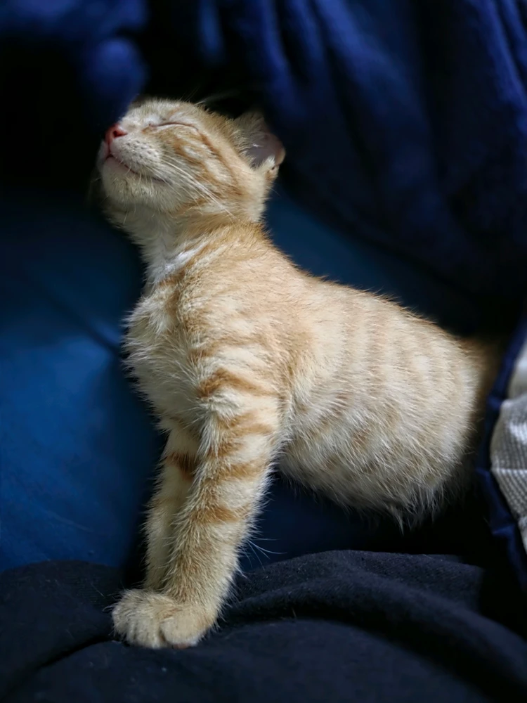 GIF uploaded by Aydan