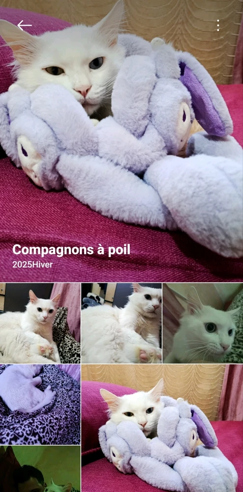 GIF uploaded by Kun iheb