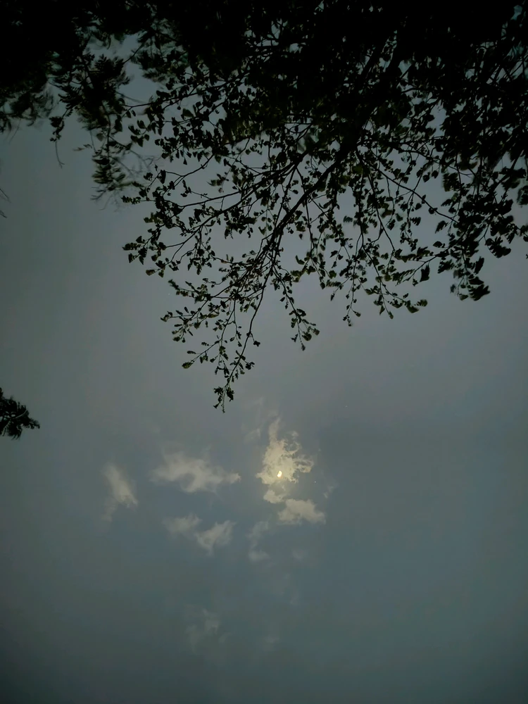 GIF uploaded by Tejas