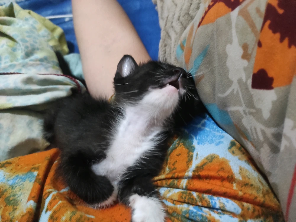 GIF uploaded by Krish
