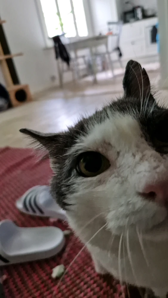 GIF uploaded by Samu